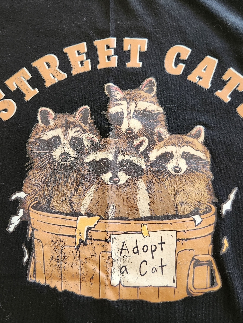 Street Cats Black Graphic Raccoon T-Shirt Size 3XL - Picture 2 of 6